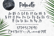 Palmetto SVG Font, a Handwritten Font by Callie Rian & Co. (Thumbnail 12 of 12)