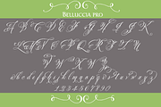 Belluccia Pro Font, a Script Font by Debi Sementelli (Thumbnail 2 of 5)