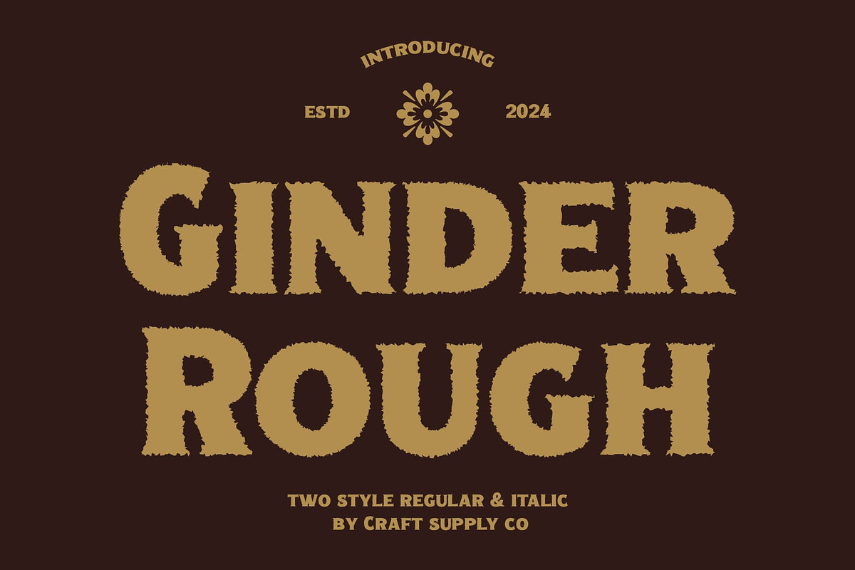 Ginder Rough, a Serif Font by Craft Supply Co. (Photo 1 of 8)