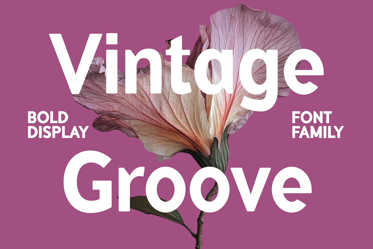 Vintage Groove Bold Family Font, a Sans Serif Font by UICreative (Photo 1 of 13)
