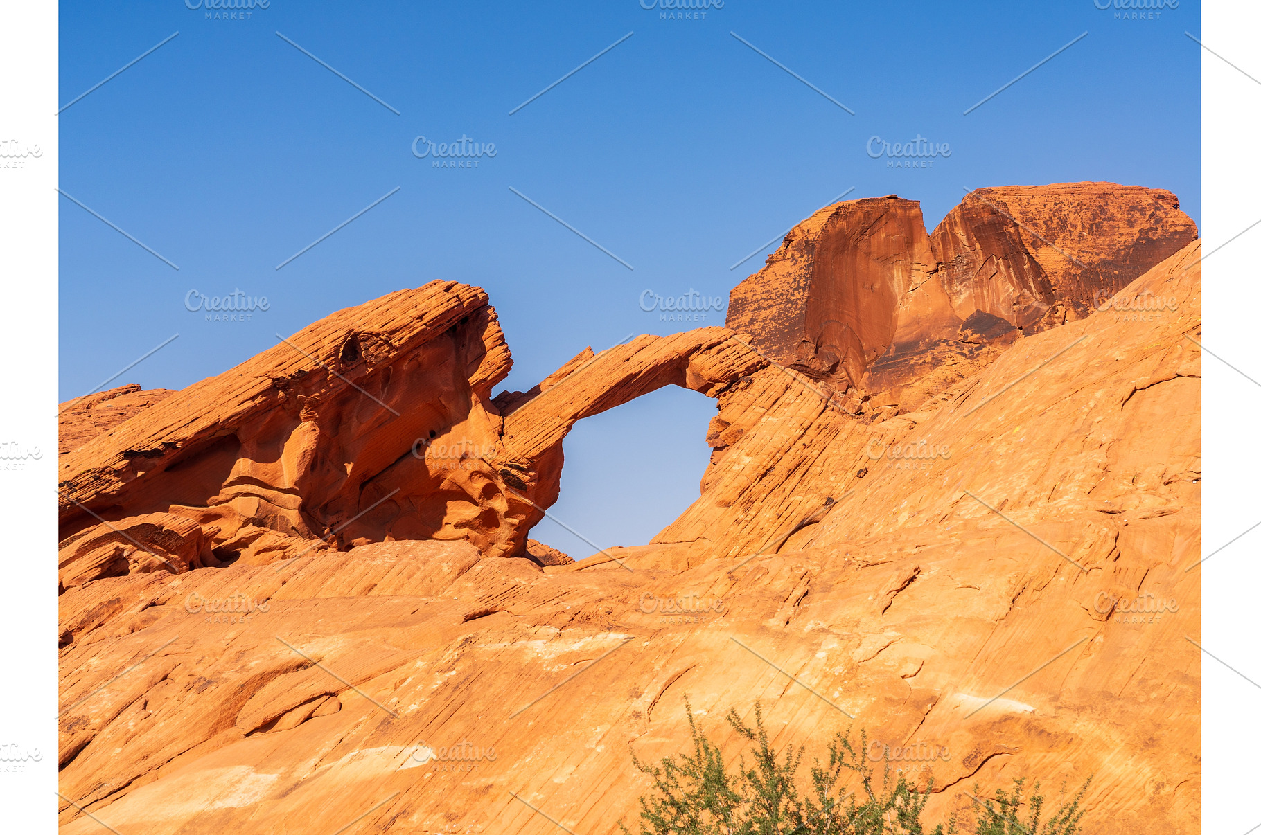 Dramatic sandstone Arch Rock, an Animal Photo by Backyard Stock