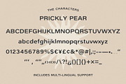 The Prickly Pear Sans + Doodles, a Font by ReveryWorks (Thumbnail 13 of 13)
