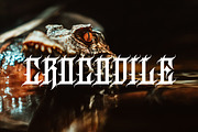 Martyr, a Blackletter Font by Muntab_Art (Thumbnail 5 of 8)