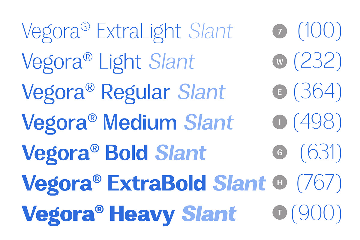 Vegora Display Sans, a Sans Serif Font by Fargun Studio (Photo 6 of 15)