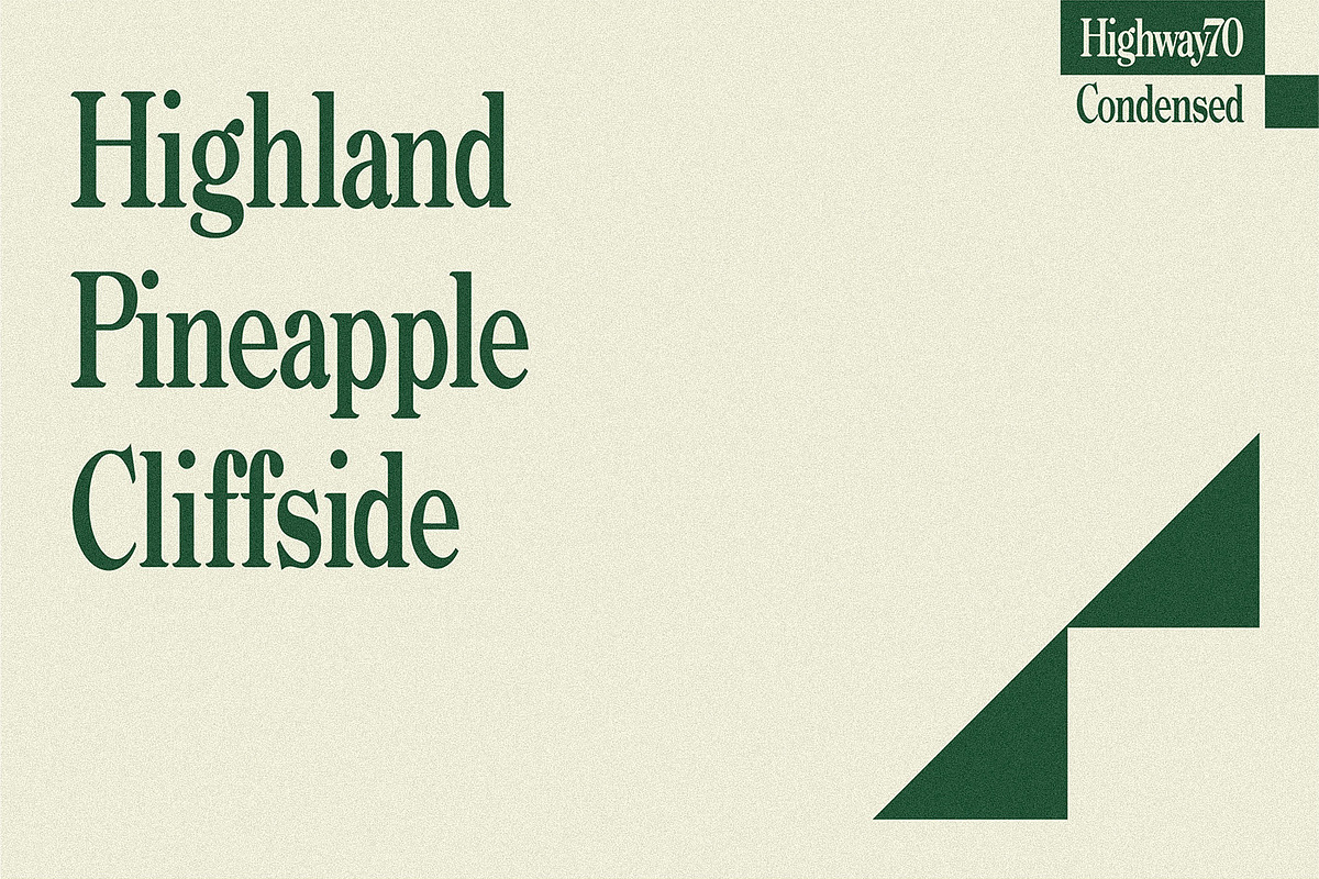 Highway 70 Condensed - Retro Serif, a Serif Font by Lateral Design (Photo 9 of 17)
