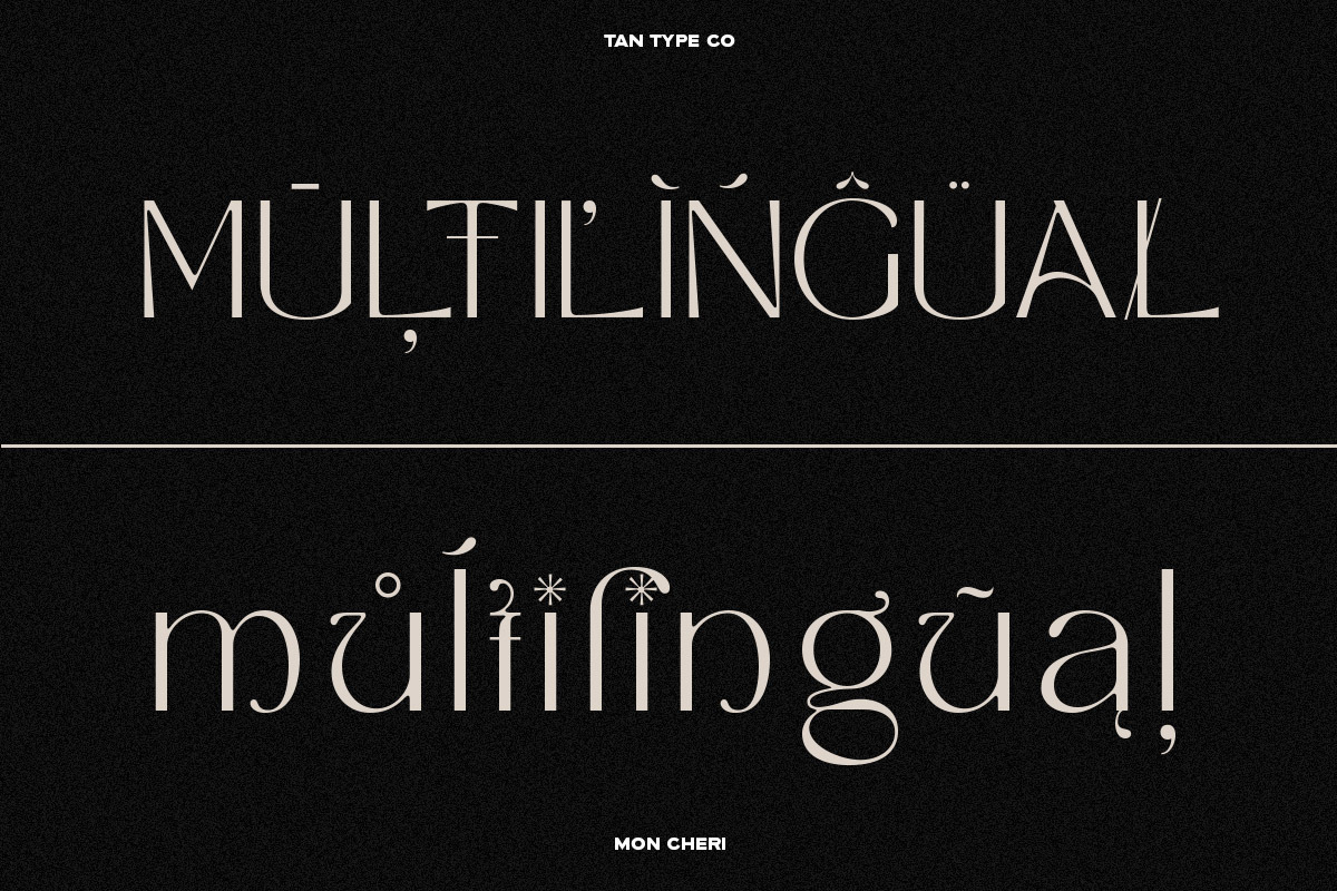 TAN - MON CHERI, a Sans Serif Font by TanType (Photo 19 of 23)