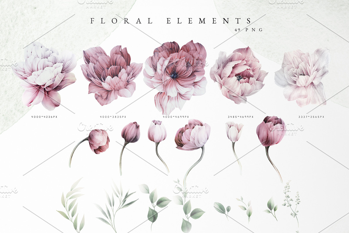 WATERCOLOR BUNDLE Peonies & Roses, an Illustration by ollalya (Photo 88 of 101)