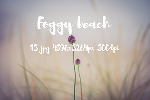 Foggy beach