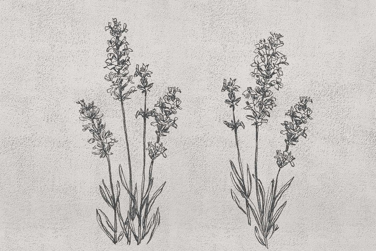boho lavender clipart, an Illustration by JULIA x JULIE's ART (Photo 3 of 6)