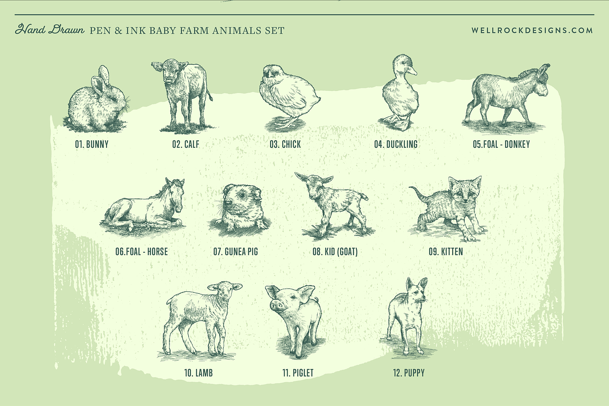 Vector Baby Farm Animals Set, an Animal Illustration by Well Rock Designs (Photo 4 of 9)