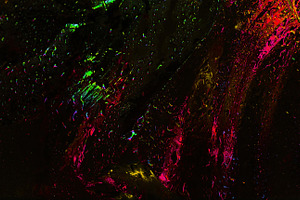 Abstract dark image of wet glass with vibrant neon streaks in re, a Background Photo by Ales Munt