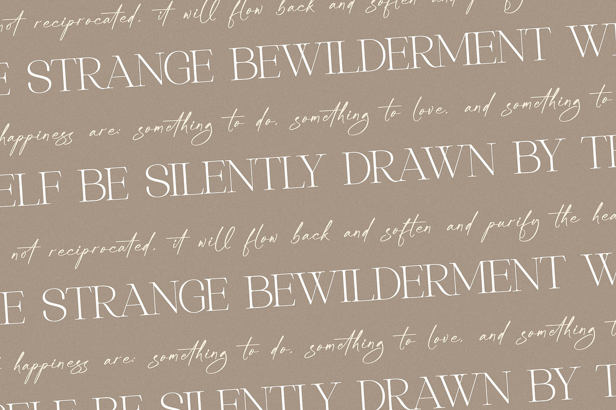 Asthelica Questak Modern Font Duo, a Serif Font by Storytype Studio (Photo 9 of 15)