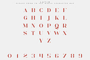 Chalga - Serif Typeface (3 weights), a Serif Font by VP Fonts (Thumbnail 9 of 11)