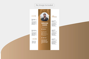 Luxury and simple CV