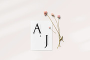 Mattiola font Floral illustrations, a Symbol Font by Alice_Evans (Thumbnail 11 of 11)