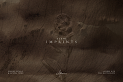 Nature Texture Backgrounds, a Background Graphic by Altea Design Studio (Thumbnail 11 of 20)