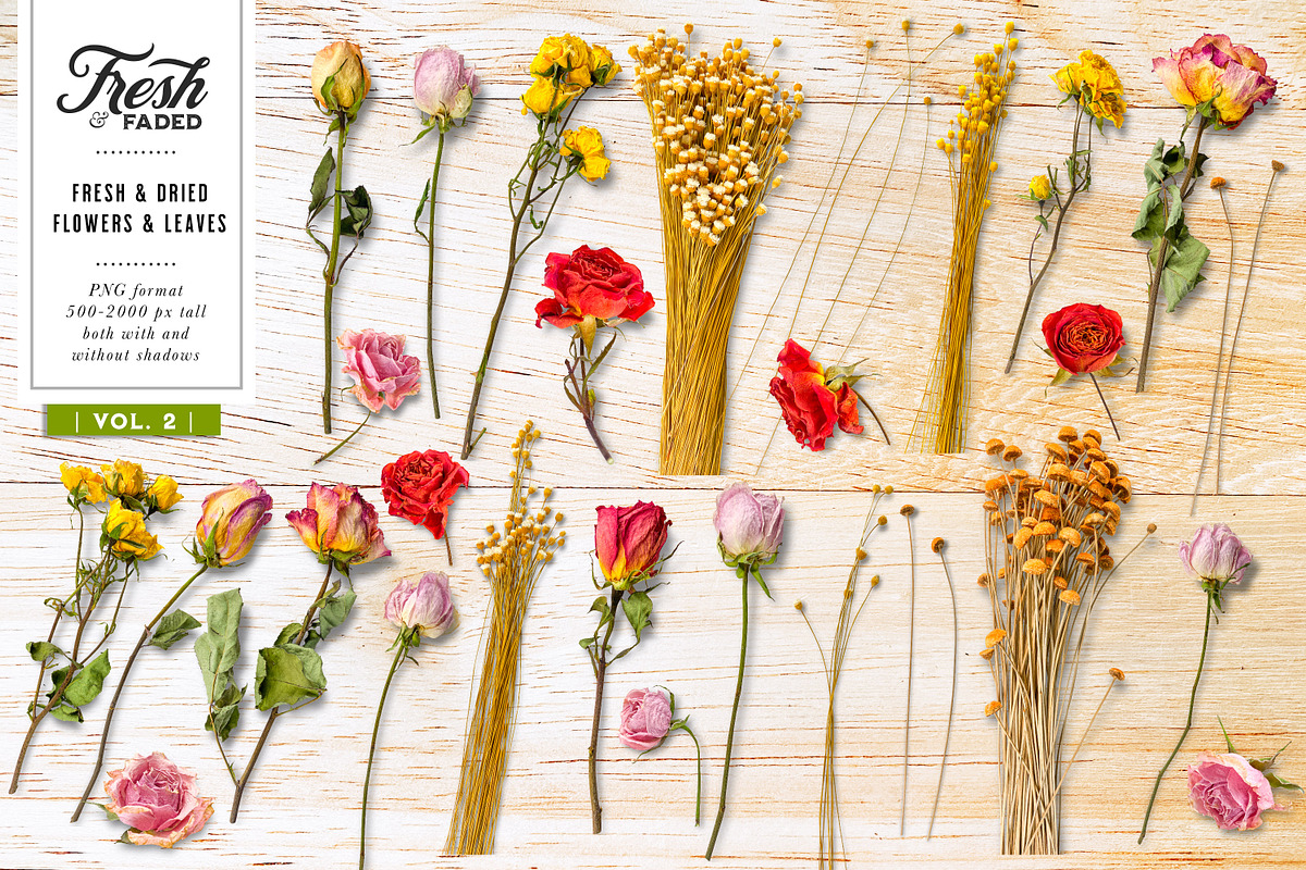 Fresh & Dried Floral Flay Lay Vol 2, a Product Mockup by Eclectic Anthology (Photo 4 of 7)