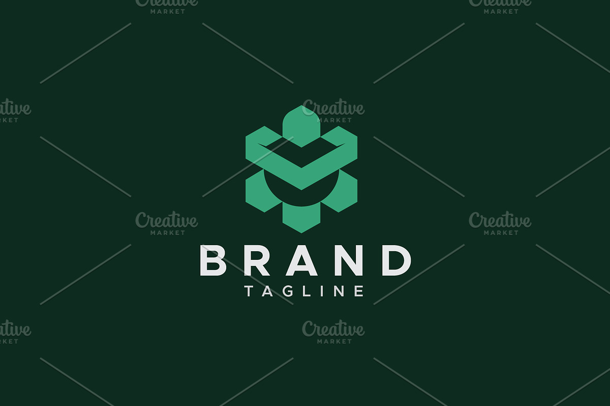 Turtle hexagon logo design, a Branding & Logo Template by Amadul11 (Photo 1 of 4)