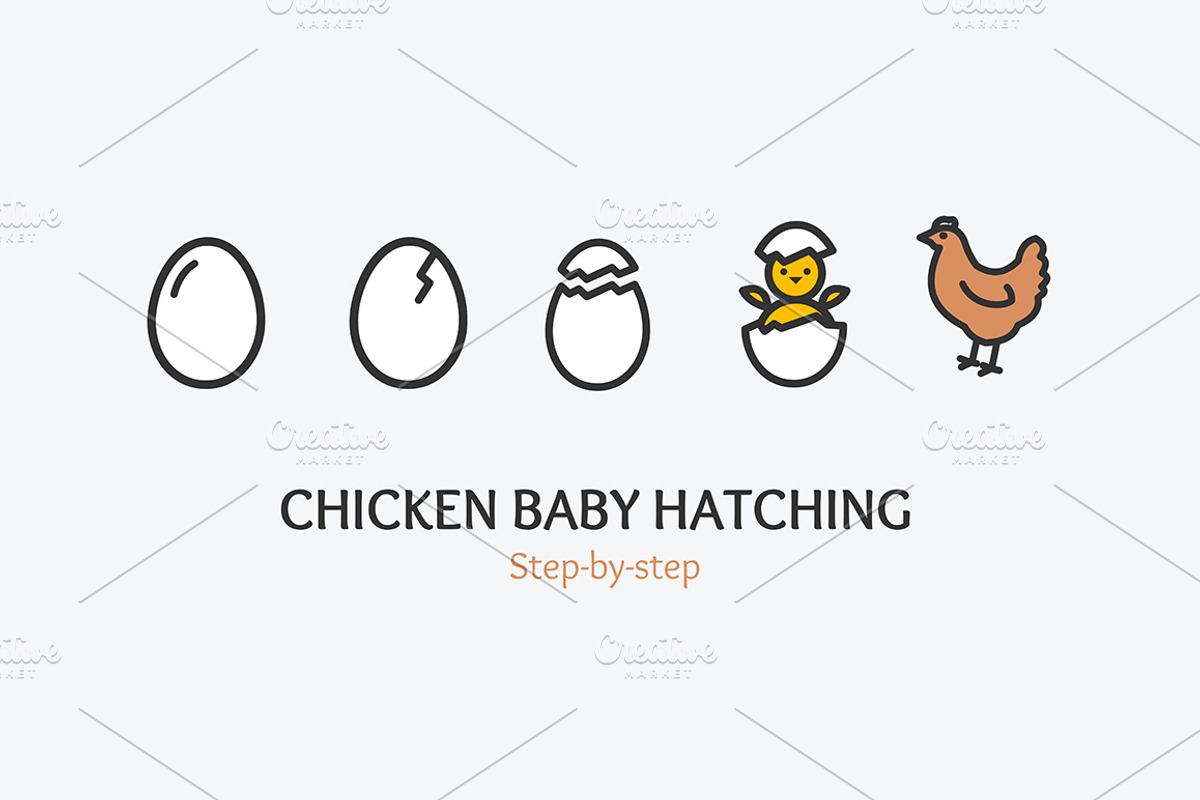 Chicken Baby Hatching Concept, an Animal Illustration by Vector and Templates