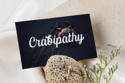 Haesley, a Script Font by Fargun Studio (Thumbnail 11 of 21)