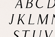 Apricot - Handlettered Serif Font, a Serif Font by Minna May Design (Thumbnail 6 of 10)