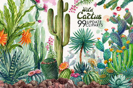 Watercolor Cactuses