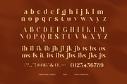 Gitson Elegant Serif Font, a Serif Font by Graphicxell (Thumbnail 8 of 8)