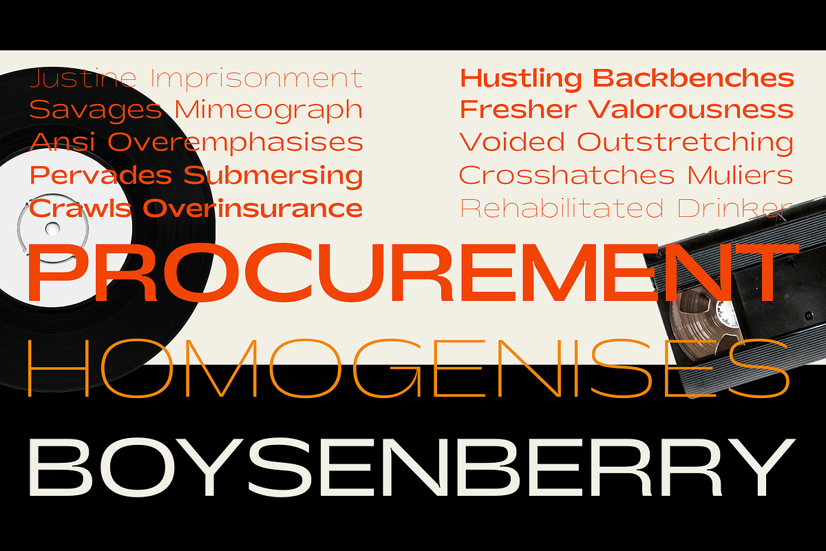 Shinko Sans | Humanist Wide Font, a Sans Serif Font by Jolicia Type (Photo 4 of 17)