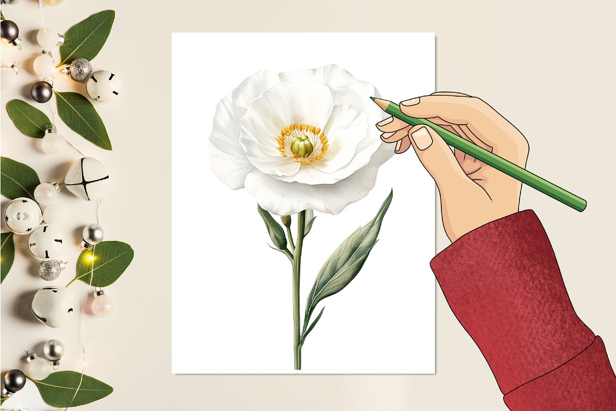 Lisianthus Flower Watercolor Clipart, an Illustration by RobertsArt (Photo 3 of 7)