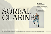 Alverich - Modern Serif Font, a Serif Font by Comactype Foundry (Thumbnail 9 of 22)