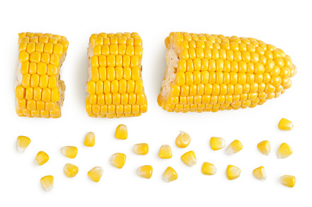 ear of corn isolated on a white