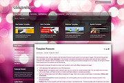 Hot Chameleon, a WordPress Template by hot-themes (Thumbnail 5 of 5)