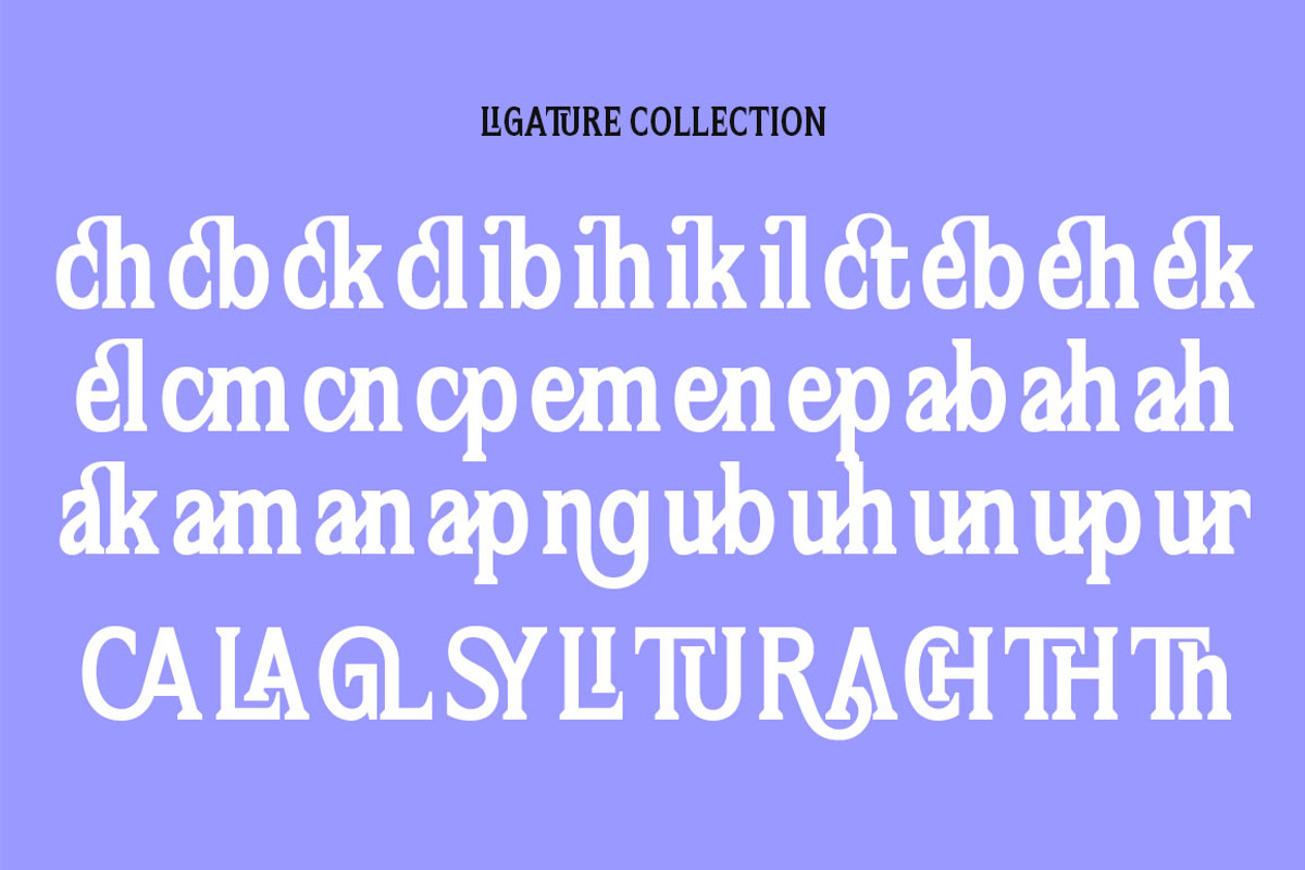 Flektura, a Serif Font by Propertype (Photo 5 of 10)