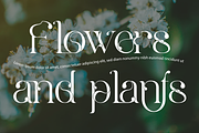 Deliberate Rationality - Modern Font, a Serif Font by 177Studio (Thumbnail 5 of 8)