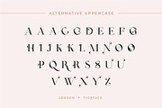 Arroem - Serif Display Font, a Serif Font by Vesvocrea (Thumbnail 13 of 15)