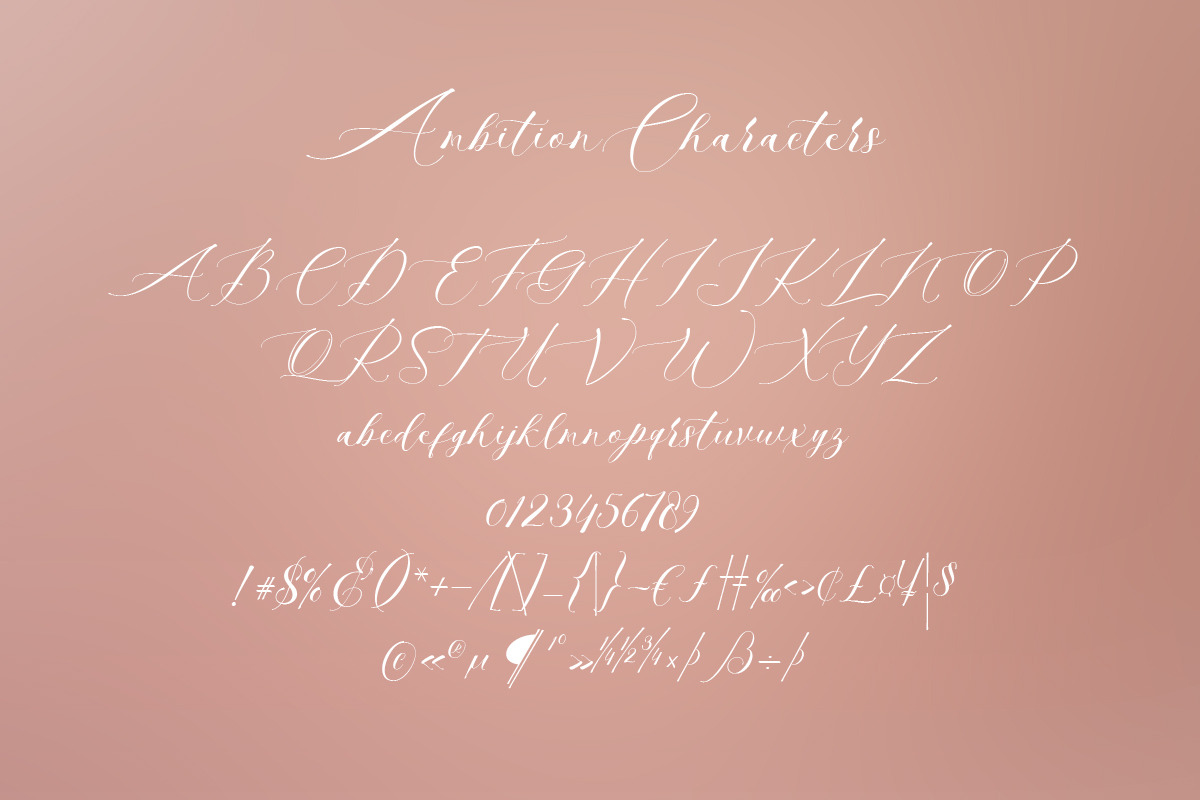 Ambition Bright, a Script Font by Artic Type (Photo 6 of 9)