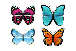 Butterflies Collection Types Vector