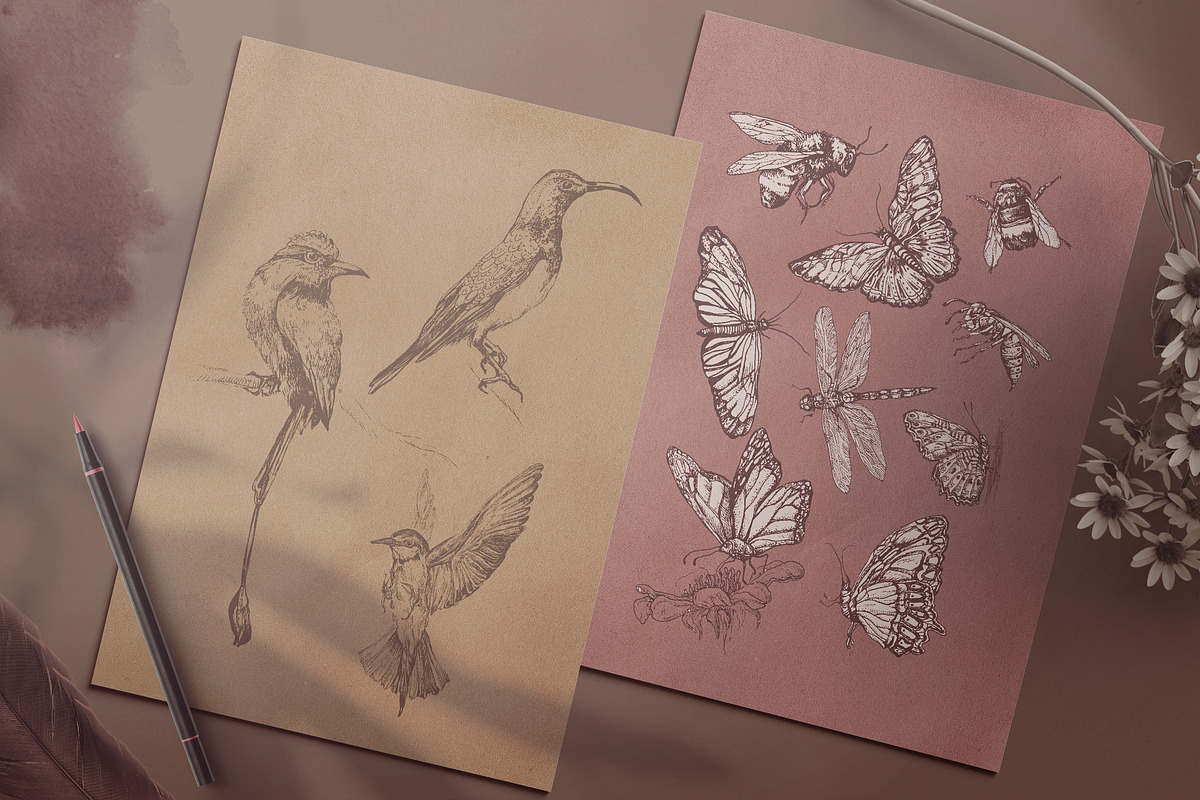 Touch of Nature Collection, a Decorative Illustration by Michael Rayback Design (Photo 5 of 20)