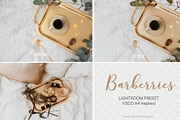 Desktop Lightroom Presets BARBERRY, an Action Add-On by Victoria Bee Presets (Thumbnail 8 of 14)