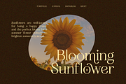 SS Geraldine - Beauty Serif Font, a Serif Font by Typocracy Studio (Thumbnail 5 of 11)