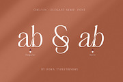 Chelvin Elegant Serif, a Serif Font by Dora Typefoundry (Thumbnail 19 of 20)
