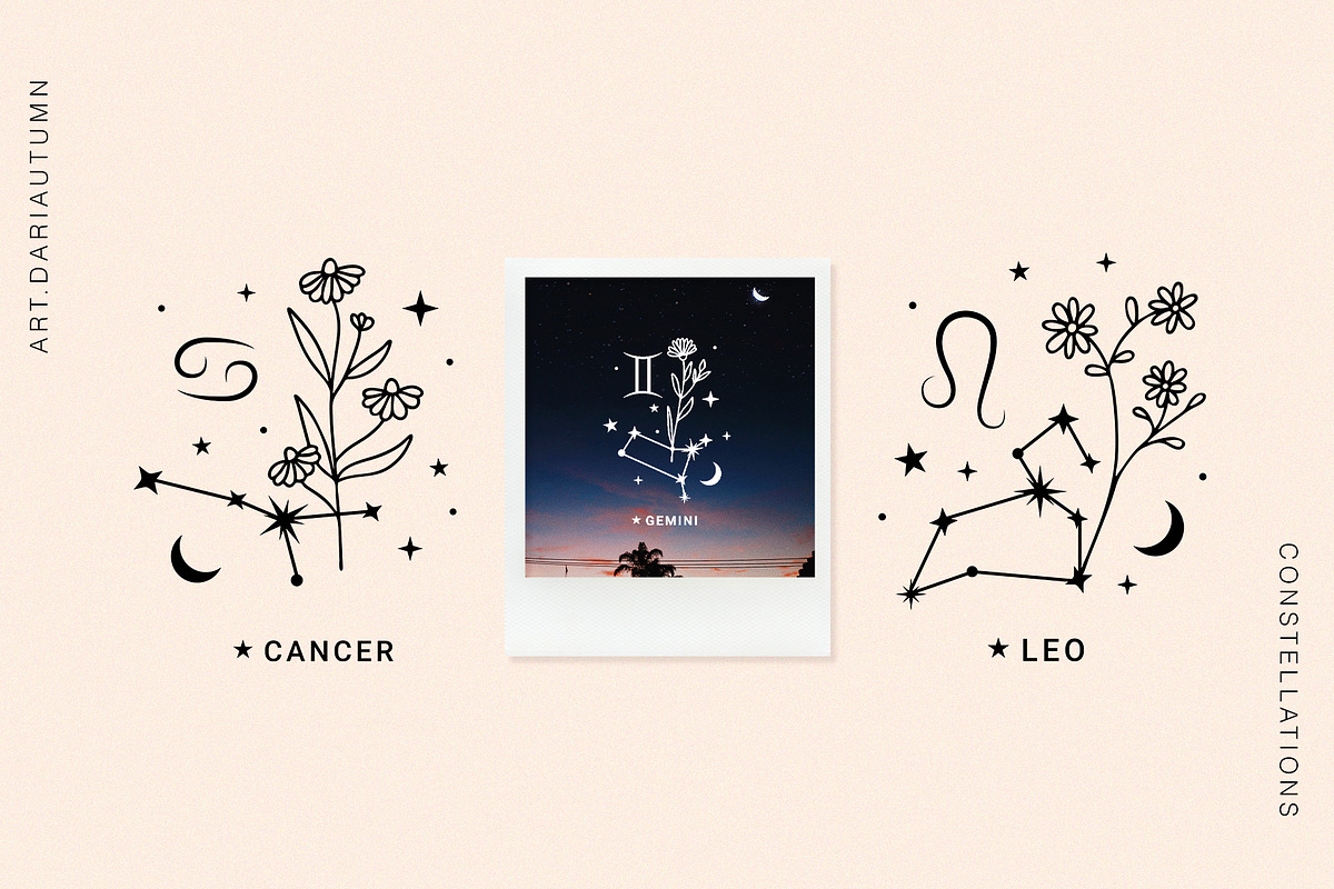 Zodiac constellations with flowers, an Illustration by Art Dari Autumn (Photo 5 of 8)