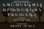 Navigate, a Handwritten Font by FreshTypeINK (Thumbnail 4 of 8)