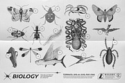 125 Vector Bitmap Assets. Biology, a Graphic by Vanzyst (Thumbnail 7 of 16)