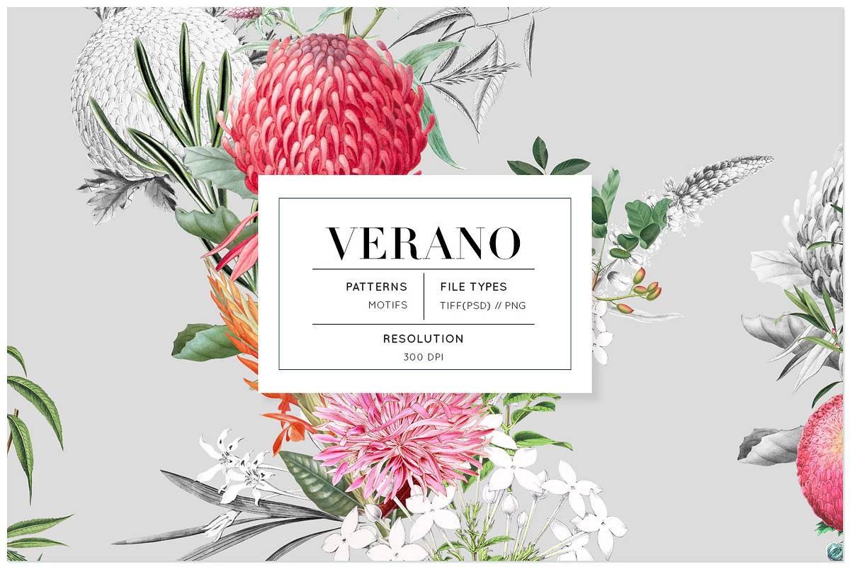 Verano, Summer Patterns & Motifs, a Pattern Graphic by Pink Linen (Photo 1 of 9)