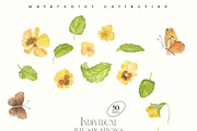 Pansy Watercolor Collection, a Decorative Illustration by Sunshine Art (Thumbnail 7 of 9)