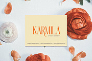 Mordena - Luxury Serif, a Serif Font by Scratch Design (Thumbnail 6 of 12)