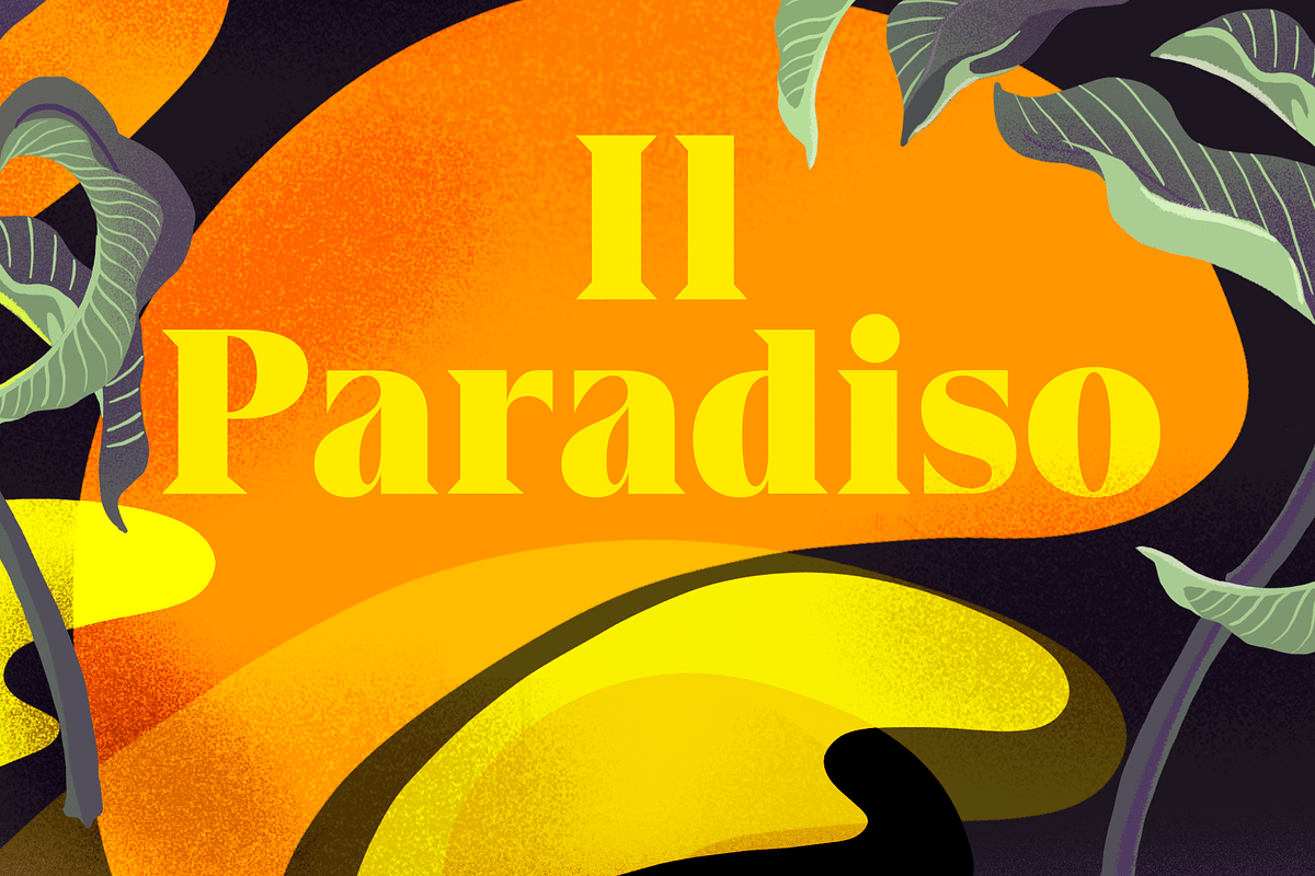 Gio -Intro offer 60% off!, a Serif Font by Fenotype (Photo 5 of 15)