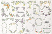 Editorial Botanical Line Art, an Object Illustration by Mio Buono (Thumbnail 13 of 16)