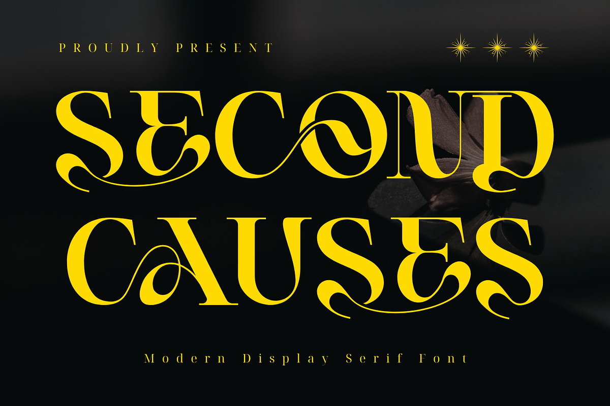 Second Causes Font, a Serif Font by 177Studio (Photo 1 of 8)